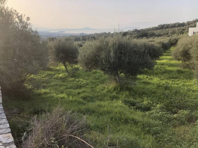 Adelebsen Zum Verkauf auf Kreta: Grundstück mit fantastischer Aussicht in der Nähe von Adele Grundstück kaufen